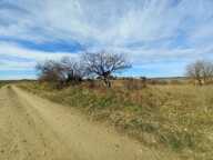 4,5 hectares de terre agricole avec  Grange de 95m2 à REHABILITER sur le terrain — photo 4