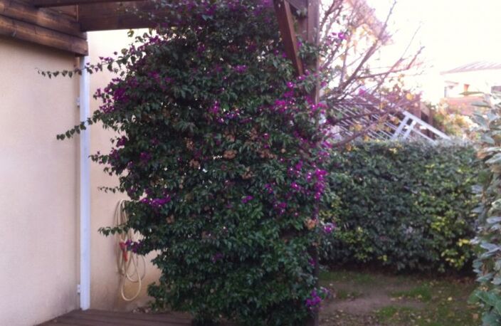 À louer, appartement 3 pièces à ELNE (66200). — photo 2
