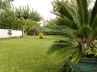 MAISON DE 190 M² /  JARDIN 730 M² + PISCINE + DEPENDANCE DE — photo 3