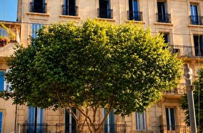 EXCLUSIVITÉ - MARSEILLE – IMMEUBLE DE RAPPORT R+6 – 738 M² — photo du bien