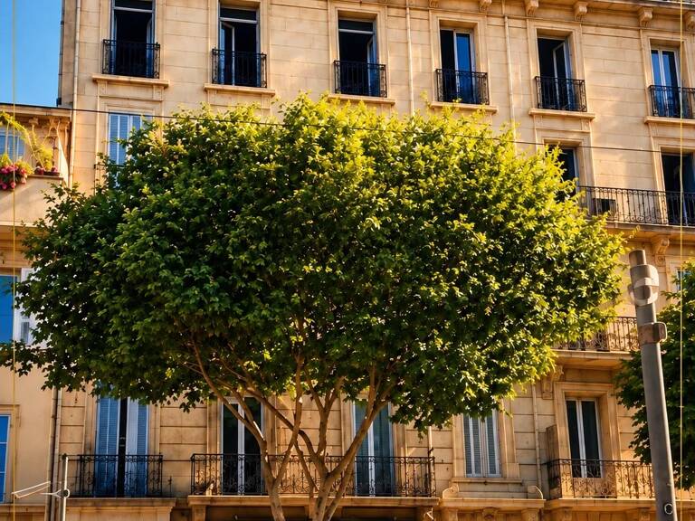 EXCLUSIVITÉ - MARSEILLE – IMMEUBLE DE RAPPORT R+6 – 738 M² — photo 1