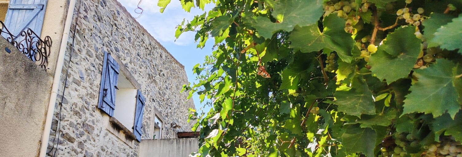Maison 6 Pièces 176 m² à vendre à Névian (11200)