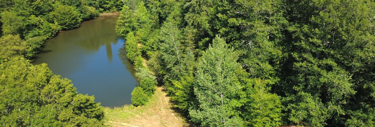Terrain  13123 m² à vendre à Prendeignes (46270)