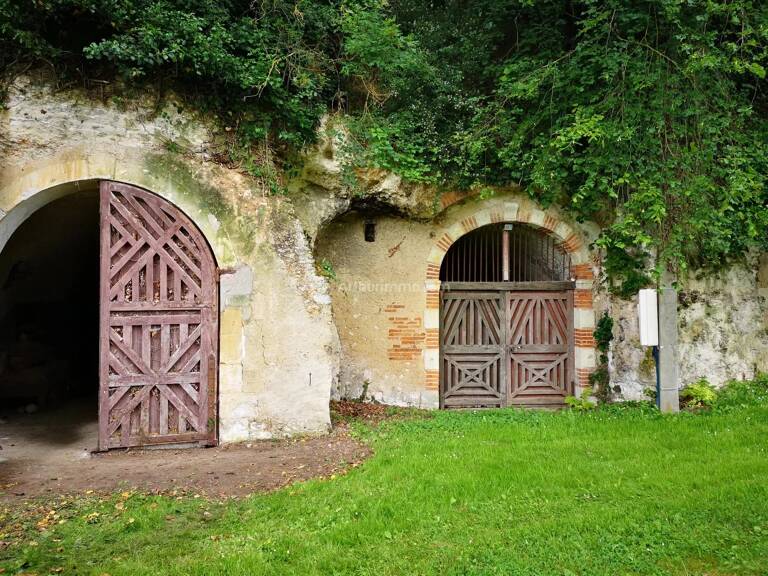 CAVE TROGLODYTE ATYPIQUE — photo 1