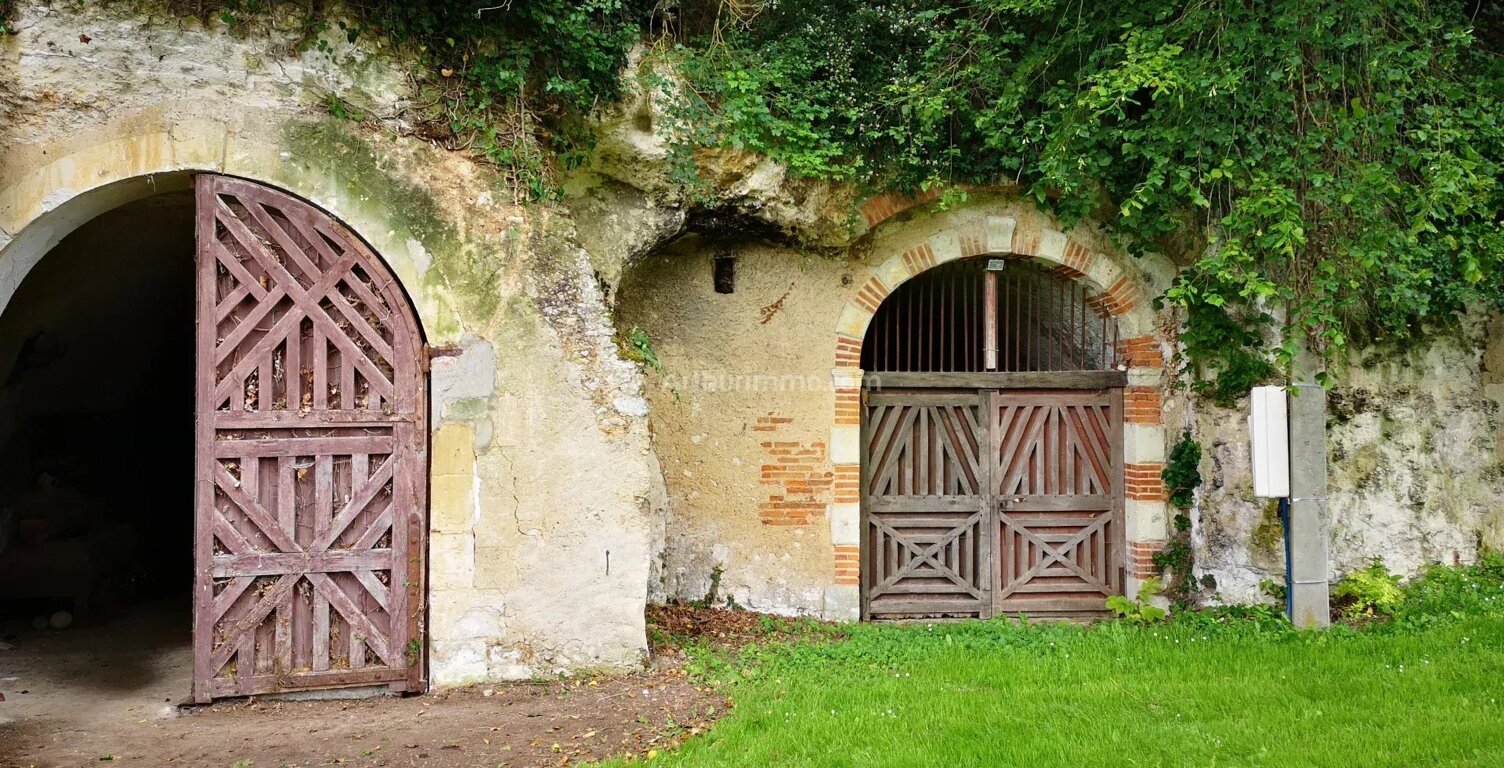 CAVE TROGLODYTE ATYPIQUE — photo 1