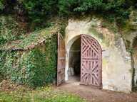 CAVE TROGLODYTE ATYPIQUE — photo 2