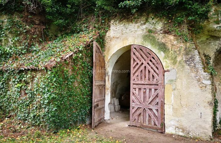 CAVE TROGLODYTE ATYPIQUE — photo 2