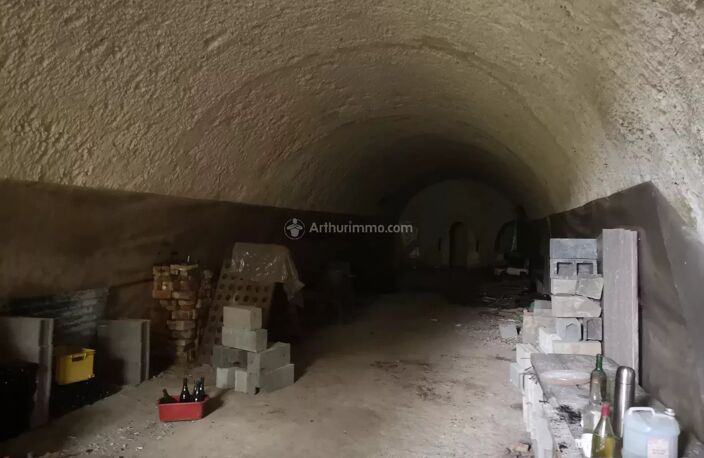 CAVE TROGLODYTE ATYPIQUE — photo 3