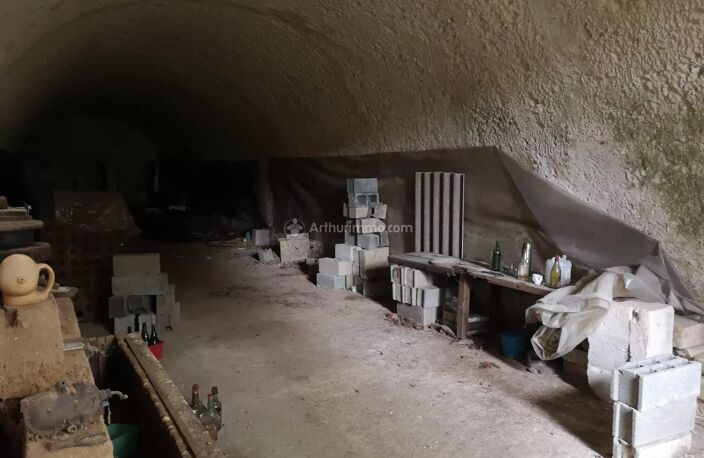 CAVE TROGLODYTE ATYPIQUE — photo 4