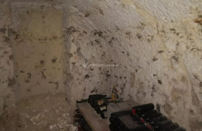 CAVE TROGLODYTE ATYPIQUE — photo 5
