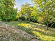 Genay centre - Maison familiale à créer - Jardin de 930 m² — photo 3