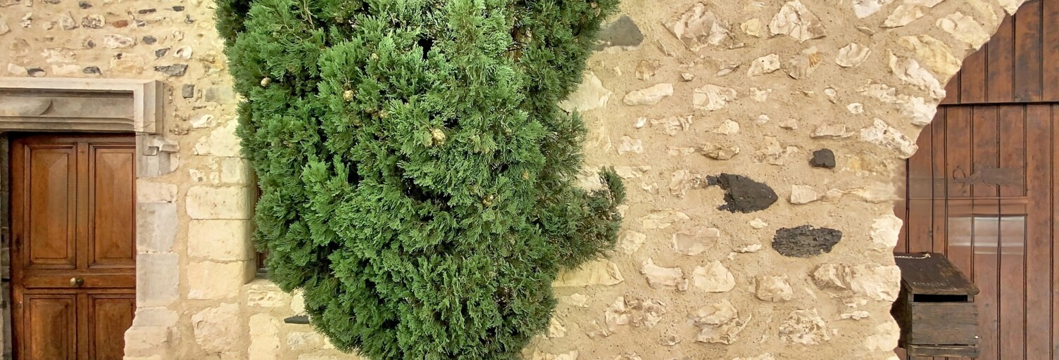 Photo N° 2