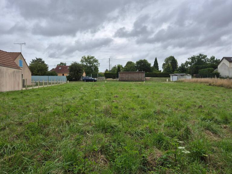terrain — photo 1