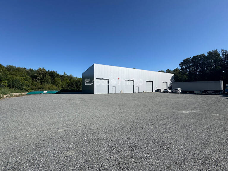 LOCAL COMMERCIAL / PROFESSIONNEL / PARKING - NOTRE-DAME-DE-BONDEVILLE - 200 m² — photo 1