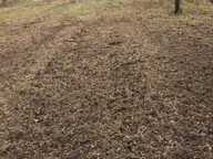Bâtisse en pierre à rénover sur un terrain de 1230m2 — photo 3