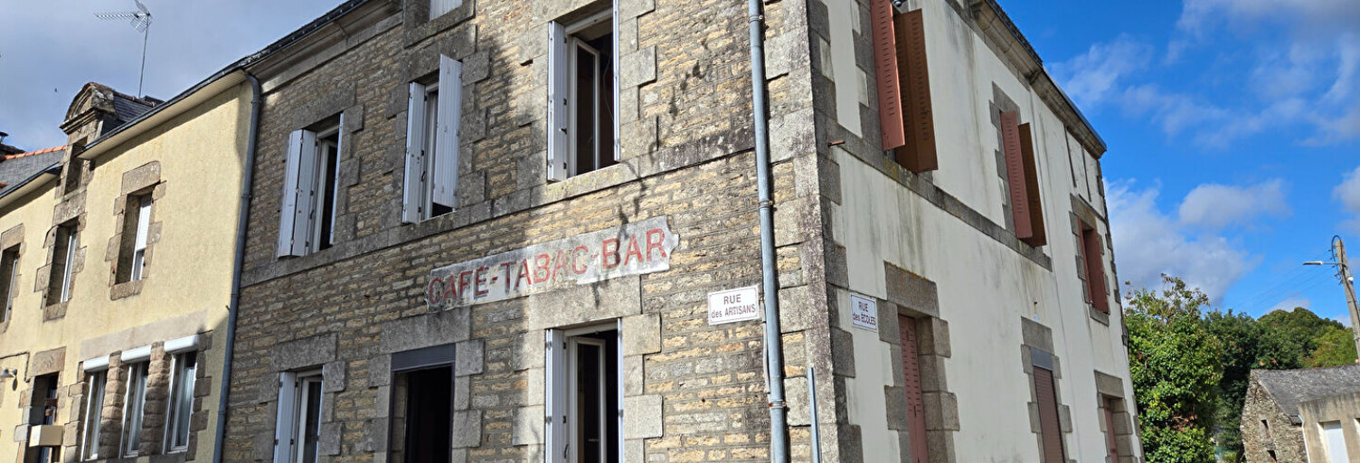 Maison 7 Pièces 138 m² à vendre à Plumelec (56420)