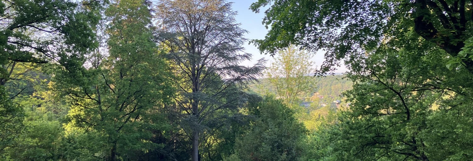 Terrain  1932 m² à vendre à Charbonnières-les-Bains (69260)