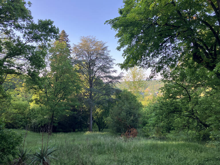 Terrain non viabilisé — photo 1