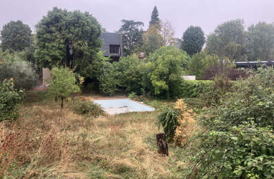 Terrain non viabilisé — photo du bien