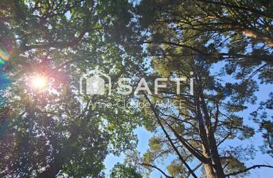 Montauban 35 Jolie propriété pres de la forêt — photo du bien