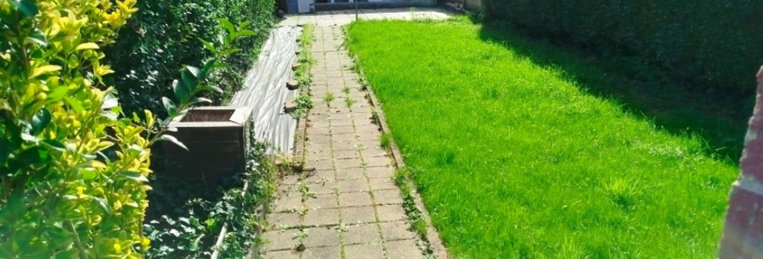 Photo N° 2