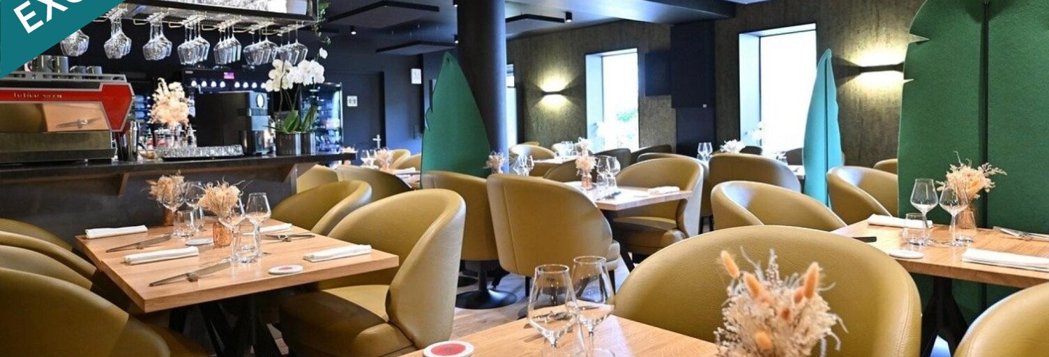 Commerce 3 Pièces 110 m² à vendre à Saint-Martin-du-Tertre (89100)