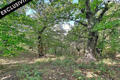 Terrain  55000 €