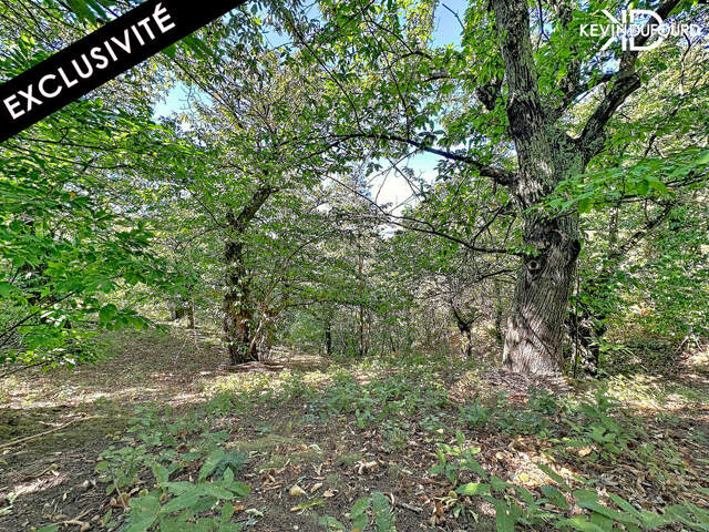 Terrain de 1.166m² à SAINT JOSEPH DES BANCS — photo du bien