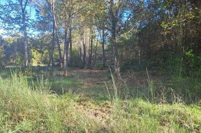 Terrain  130300 €