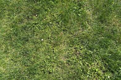Terrain  77000 €