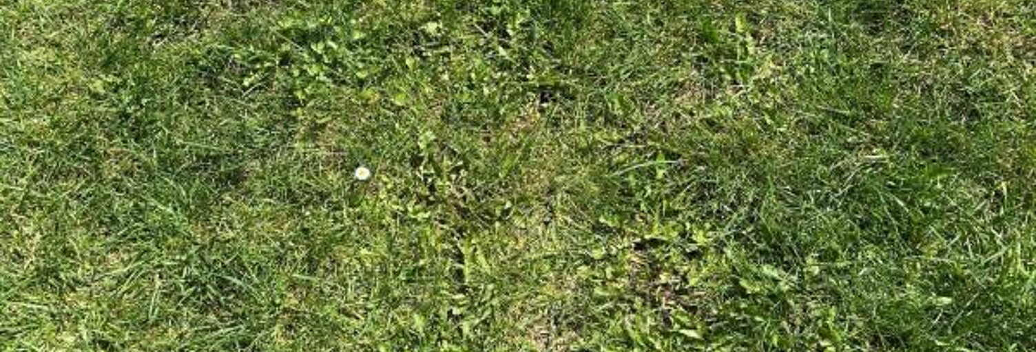 Terrain  956 m² à vendre à La Ferté-sous-Jouarre (77260)