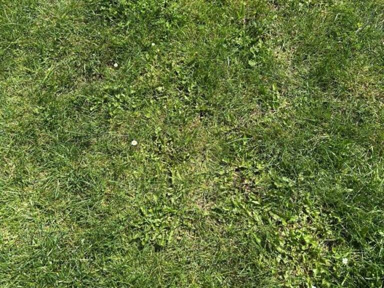 TERRAIN CONSTRUCTIBLE — photo 1