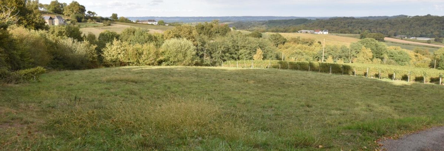 Terrain  6610 m² à vendre à Lucq-de-Béarn (64360)