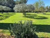 Maison Provençale au coeur des Alpilles — photo 3