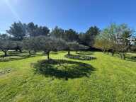 Maison Provençale au coeur des Alpilles — photo 4