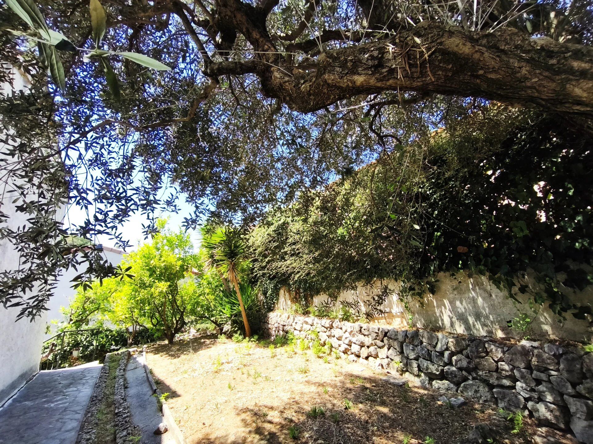 Photo Maison de 6 pièces La Colle-sur-Loup