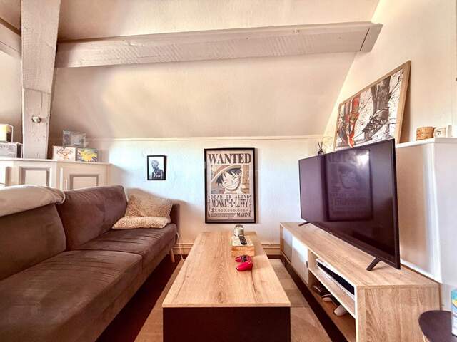 Investisseur Appartement 32 m² loué Proche facs — photo du bien