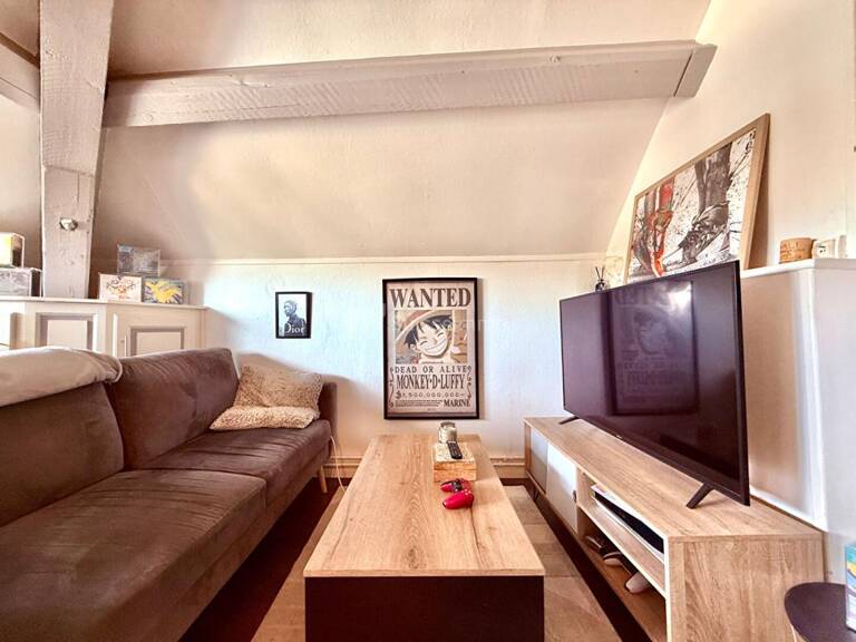 Investisseur Appartement 32 m² loué Proche facs — photo 1