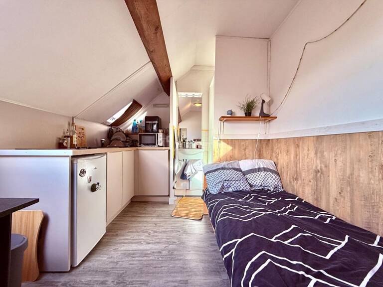 Spécial investisseur Studio de 13 m² Vendu loué proche facs — photo 1