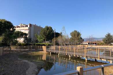 Appartement 1 pièces 530 €