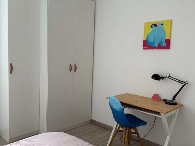 Chambre de 14m2 à louer sur Orléans — photo du bien