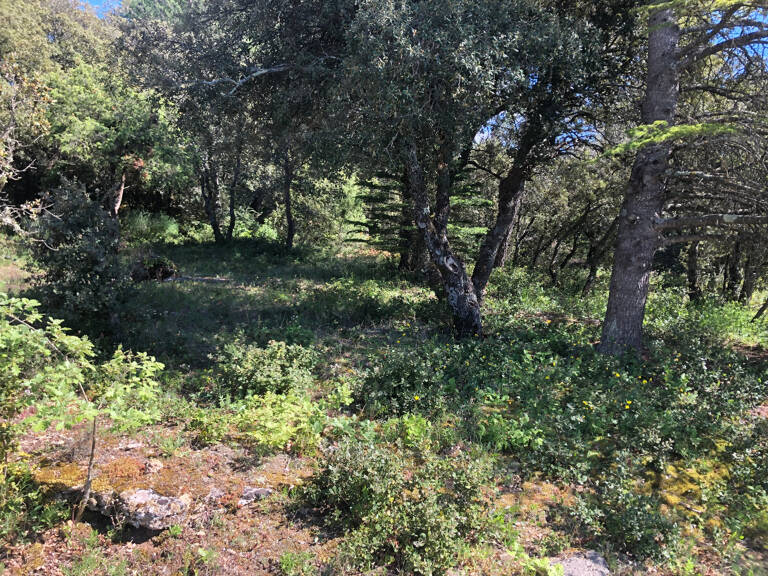 Terrain à vendre  SIMIANE LA ROTONDE (04) — photo 1