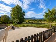 PROPRIÉTÉ D’EXCEPTION – PRÈS DE 300 m² – 2,7 HECTARES – INSTALLATIONS EQUESTRES - LOGEMENTS INDEPENDANTS — photo 3