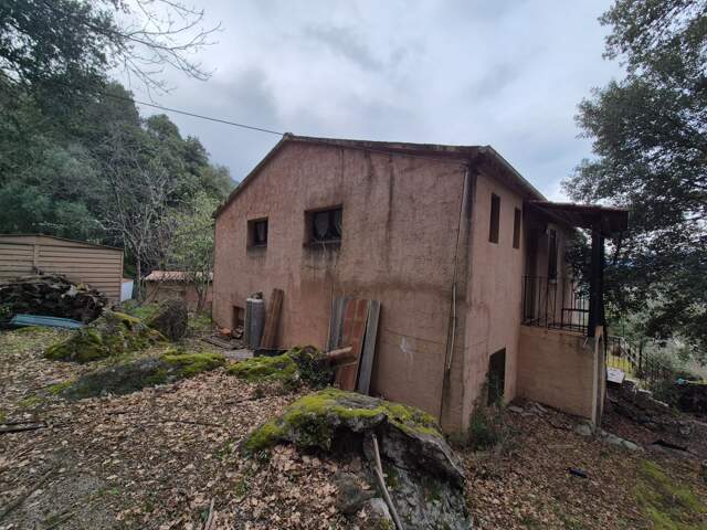 Propriete à vendre 7 pièces CORTE (20) — photo du bien