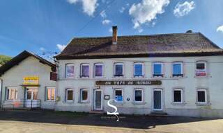 Maison 12 Pièces 307 m² à vendre à Philippsbourg (57230)