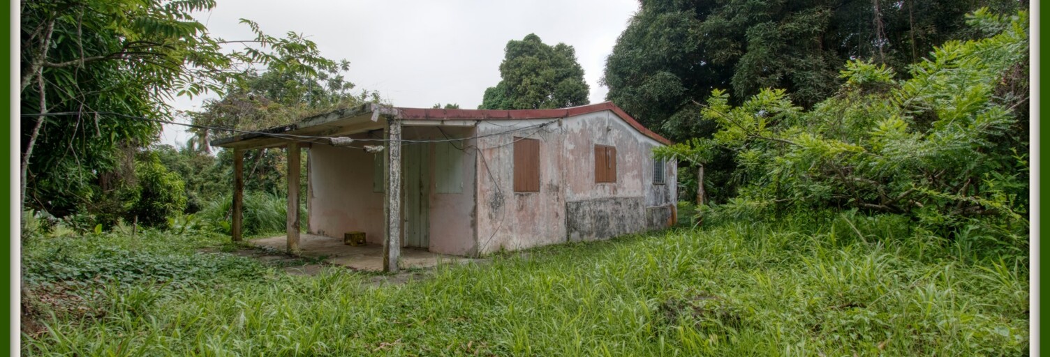 Maison 4 Pièces 66 m² à vendre à Gros-Morne (97213)
