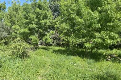 Terrain  170000 €
