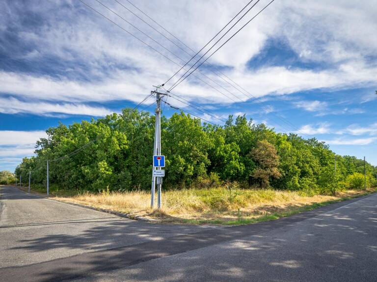 Terrain - 26 610 m² - Aussonne (31) — photo 1