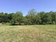 PROJET DE PLAIN-PIED À SAINT-BLAISE-DU-BUIS — photo 4