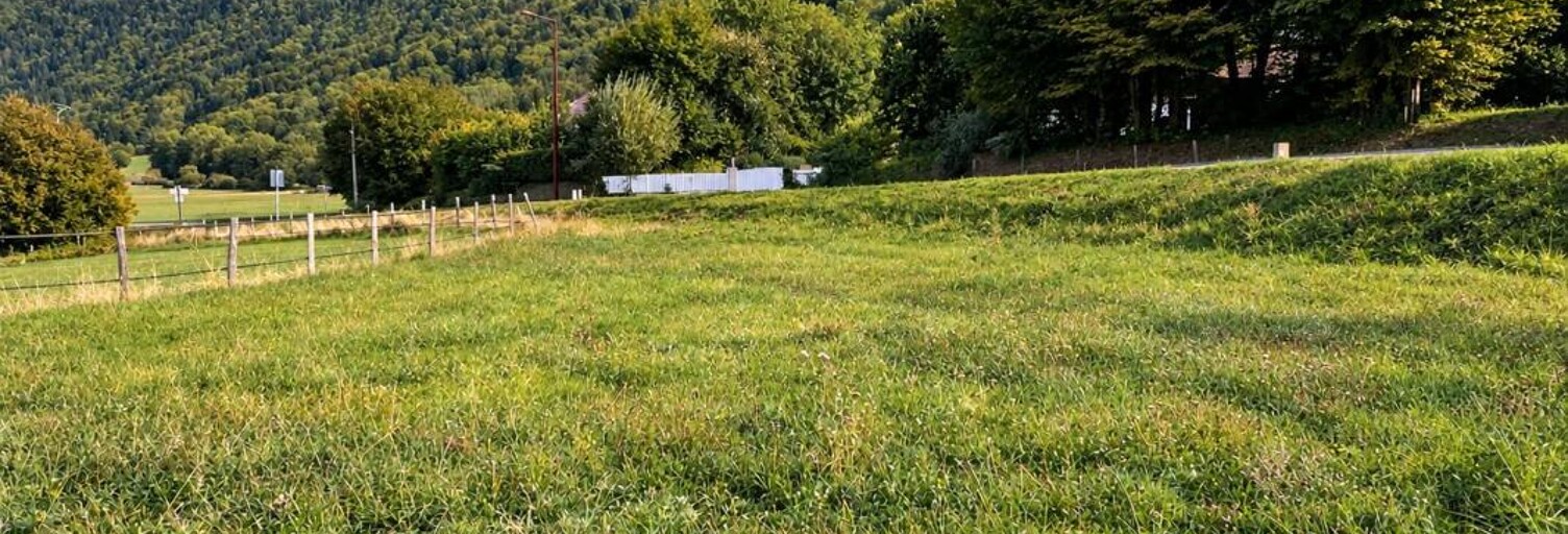 Terrain  469 m² à vendre à Draillant (74550)